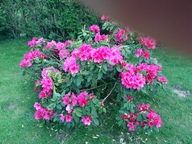 View IMG_0087