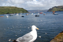 View DSC_0849