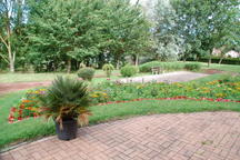 View DSC_1025